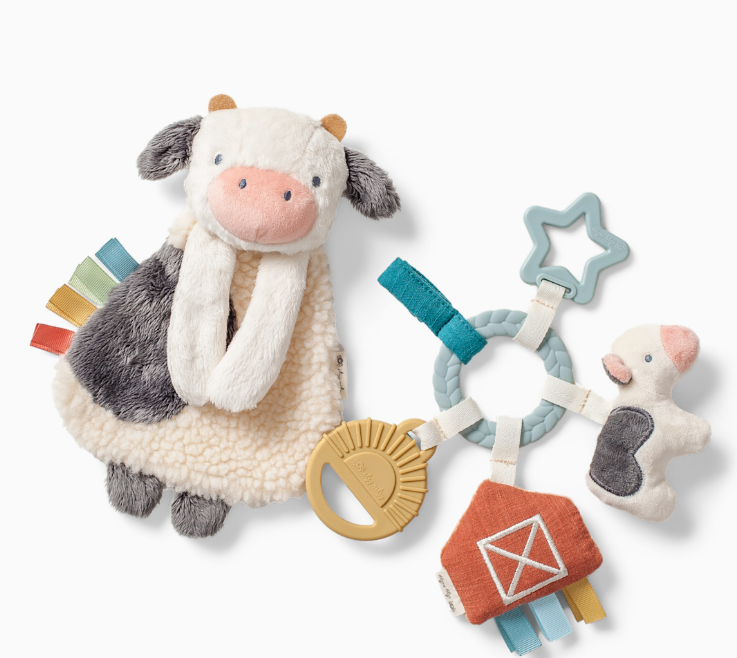 Plush Lovey & Teething Activity Toy Gift Set